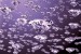 Wallpapers mural rain falling diamonds in 2 colors