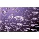 Wallpapers mural rain falling diamonds in 2 colors Wallpapers mural rain falling diamonds in 2 colors