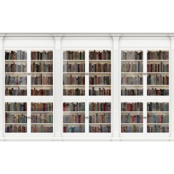 Wallpapers mural Wall white library of books
