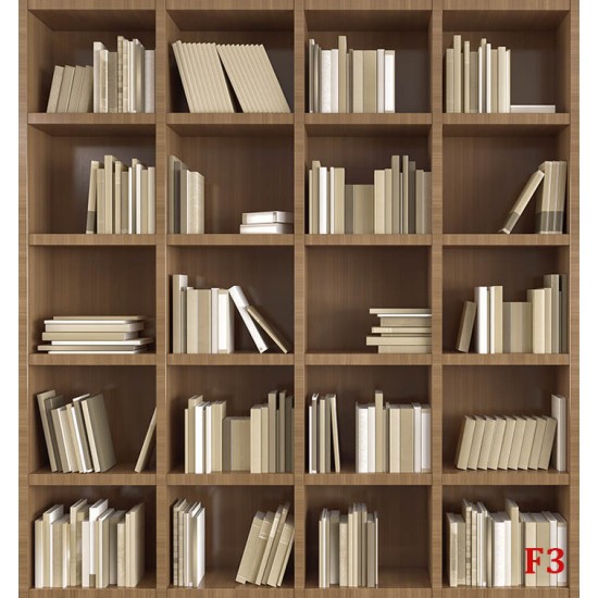 Wall murals wall modern library books in 2 colors wood