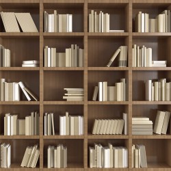 Wall murals wall modern library books in 2 colors wood