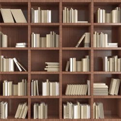 Wall murals wall modern library books in 2 colors wood Wall murals wall modern library books in 2 colors wood
