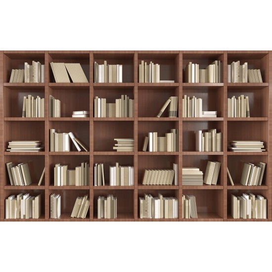 Wall murals wall modern library books in 2 colors wood