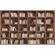 Wall murals wall modern library books in 2 colors wood