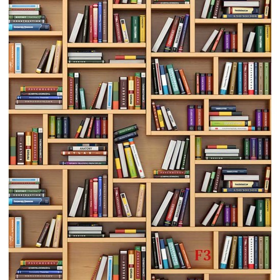 Wall murals wall modern library