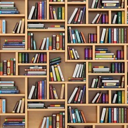 Wall murals wall modern library