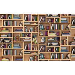 Wall murals wall modern library