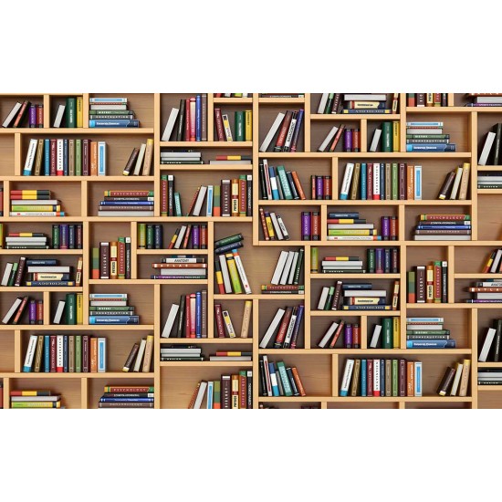 Wall murals wall modern library