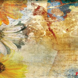 Wallpapers mural panel painted daisy