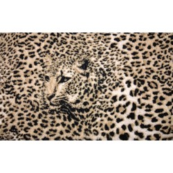 Wallpapers mural leopard texture in beige-brown Wallpapers mural leopard texture in beige-brown