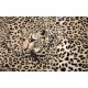 Wallpapers mural leopard texture in beige-brown