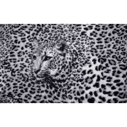 Wallpapers mural leopard texture in purple and black Wallpapers mural leopard texture in purple and black