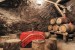 Photo mural bulgarien winery type