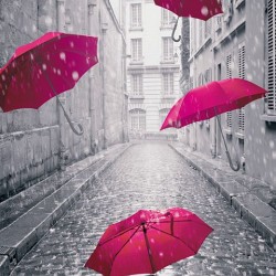 Wall murals art umbrellas in black and pink Wall murals art umbrellas in black and pink