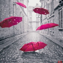 Wall murals art umbrellas in black and pink
