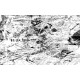 Wall mural art panel old newspapers in grey Wall mural art panel old newspapers in grey