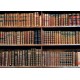 Wallpapers mural retro library with old books
