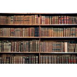 Wallpapers mural retro library with old books