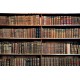 Wallpapers mural retro library with old books