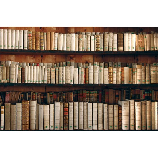 Wallpapers mural retro library with old books wood
