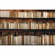 Wallpapers mural retro library with old books wood