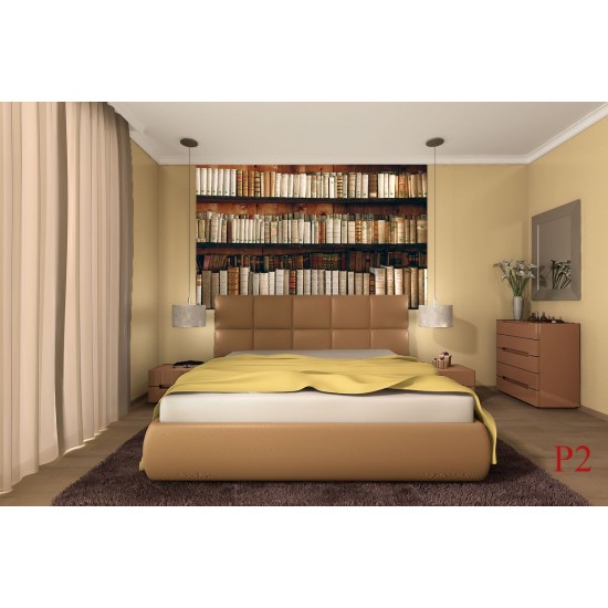 Wallpapers mural retro library with old books wood