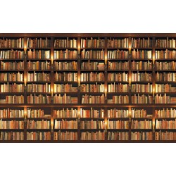 Wallpapers mural library with old books perfect reality
