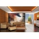 Wallpapers mural beautiful art face of a woman in 2 colors Wallpapers mural beautiful art face of a woman in 2 colors