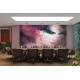 Wallpapers mural beautiful art face of a woman in 2 colors Wallpapers mural beautiful art face of a woman in 2 colors