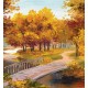 Wallpapers mural picture beautiful autumn forest with bridge Wallpapers mural picture beautiful autumn forest with bridge