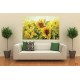 Wallpapers painted sunflower picture