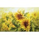 Wallpapers painted sunflower picture