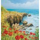 Wallpapers mural beautiful coast with poppies