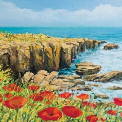 Wallpapers mural beautiful coast with poppies