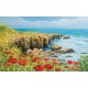 Wallpapers mural beautiful coast with poppies