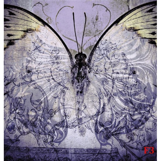 wallpapers art butterfly vintage