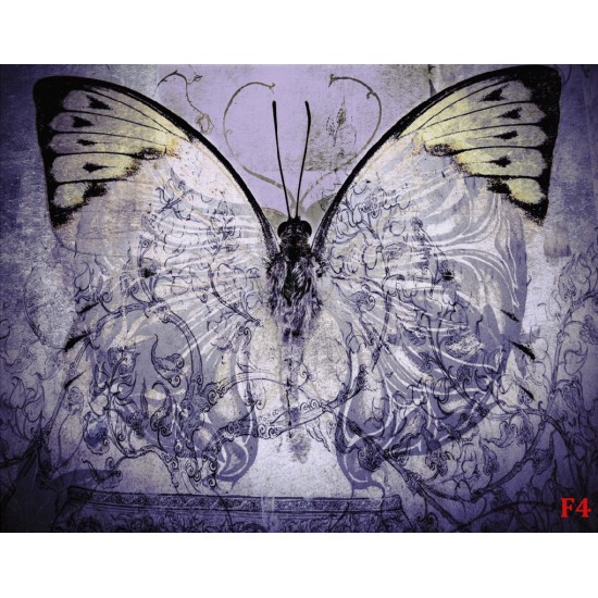 wallpapers art butterfly vintage