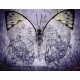 wallpapers art butterfly vintage