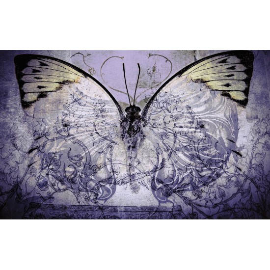 wallpapers art butterfly vintage