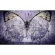 wallpapers art butterfly vintage