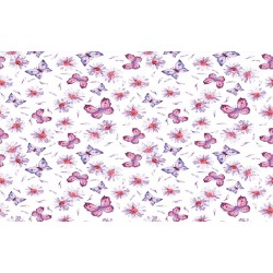 Wall murals painted butterflies and daisies in 2 colors