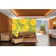 Wallpapers mural citrus oranges and kiwi fruit Wallpapers mural citrus oranges and kiwi fruit