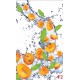 Wallpapers mural orange fruits and water drops