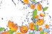 Wallpapers mural orange fruits and water drops