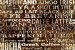Photo mural wall with inscriptions coffee types