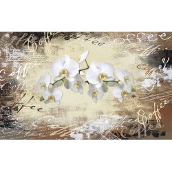Photo mural Retro composition with inscriptions of coffee and white orchids
