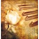 Wallpapers mural aged model of a piano and a rose