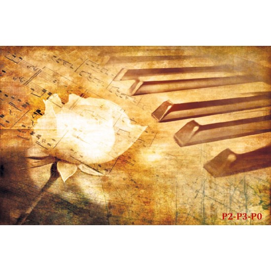 Wallpapers mural aged model of a piano and a rose