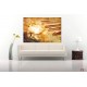 Wallpapers mural aged model of a piano and a rose