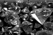 Wallpapers mural black diamonds